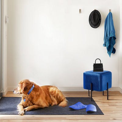 Solid Blue Cube-Shaped Cushioned Stool